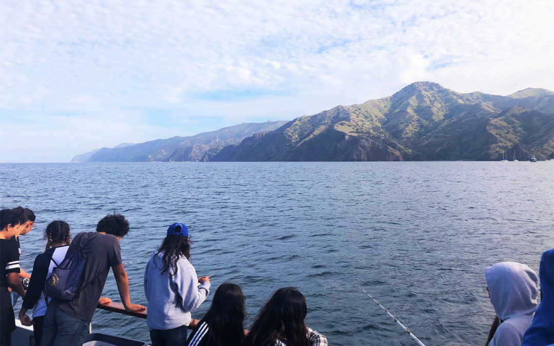 Catalina Island Ecology Safari Day Trip