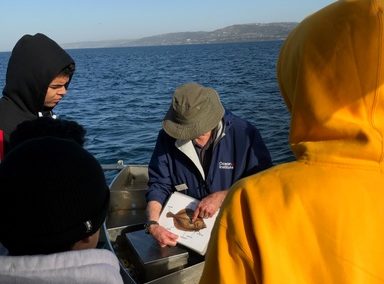 Human Impacts on Coastal Ecosystems Lab and Cruise