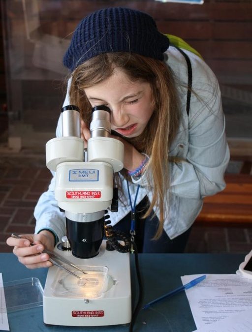 Marine Mammal Lab