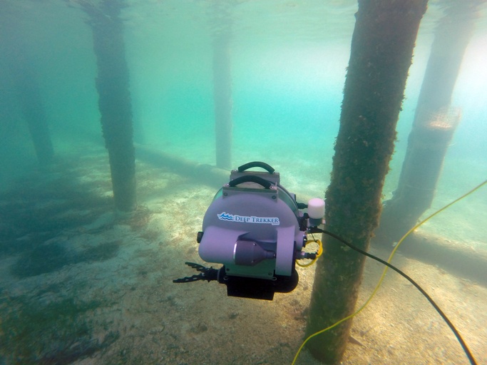 Seafloor Explorer Overnight