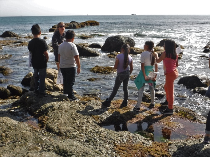 Tidepool Exploration in the Dana Point MPA (Marine Protected Area)