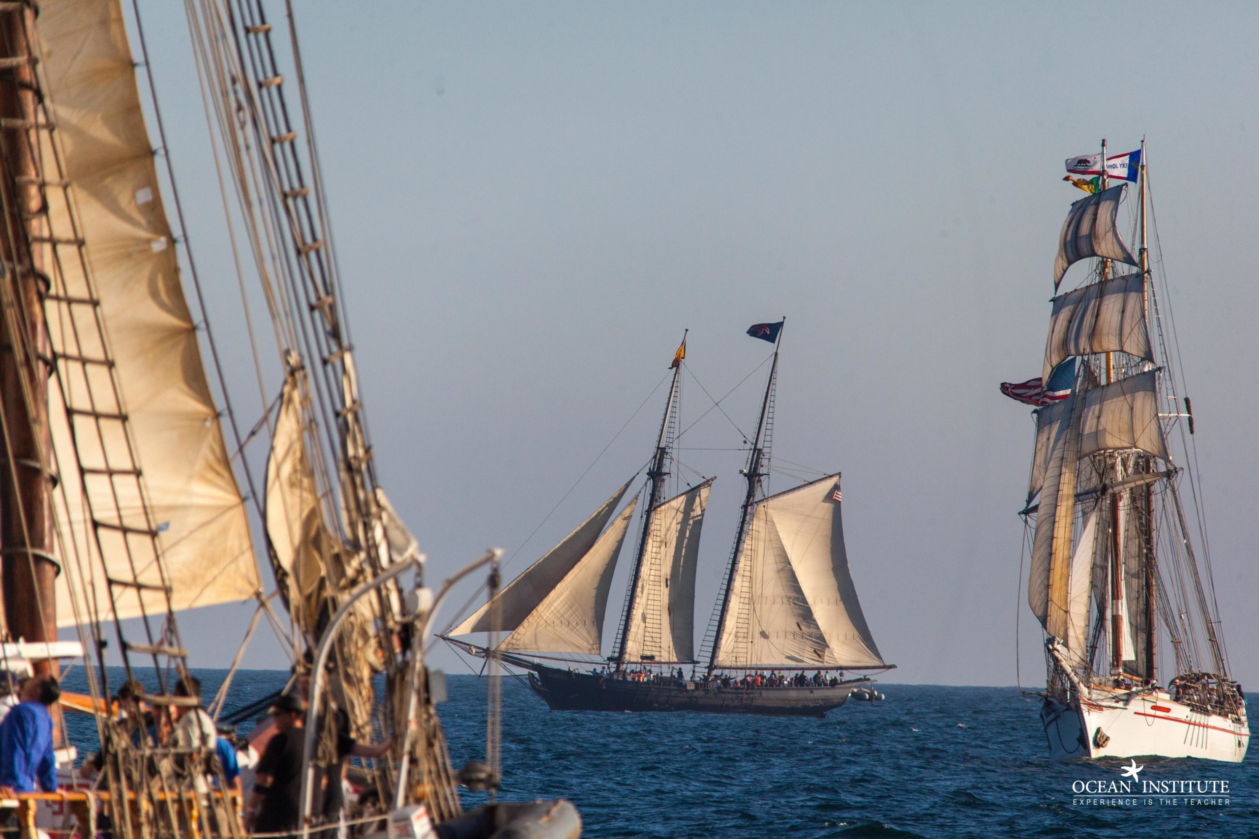 Maritime Festival Ocean Institute