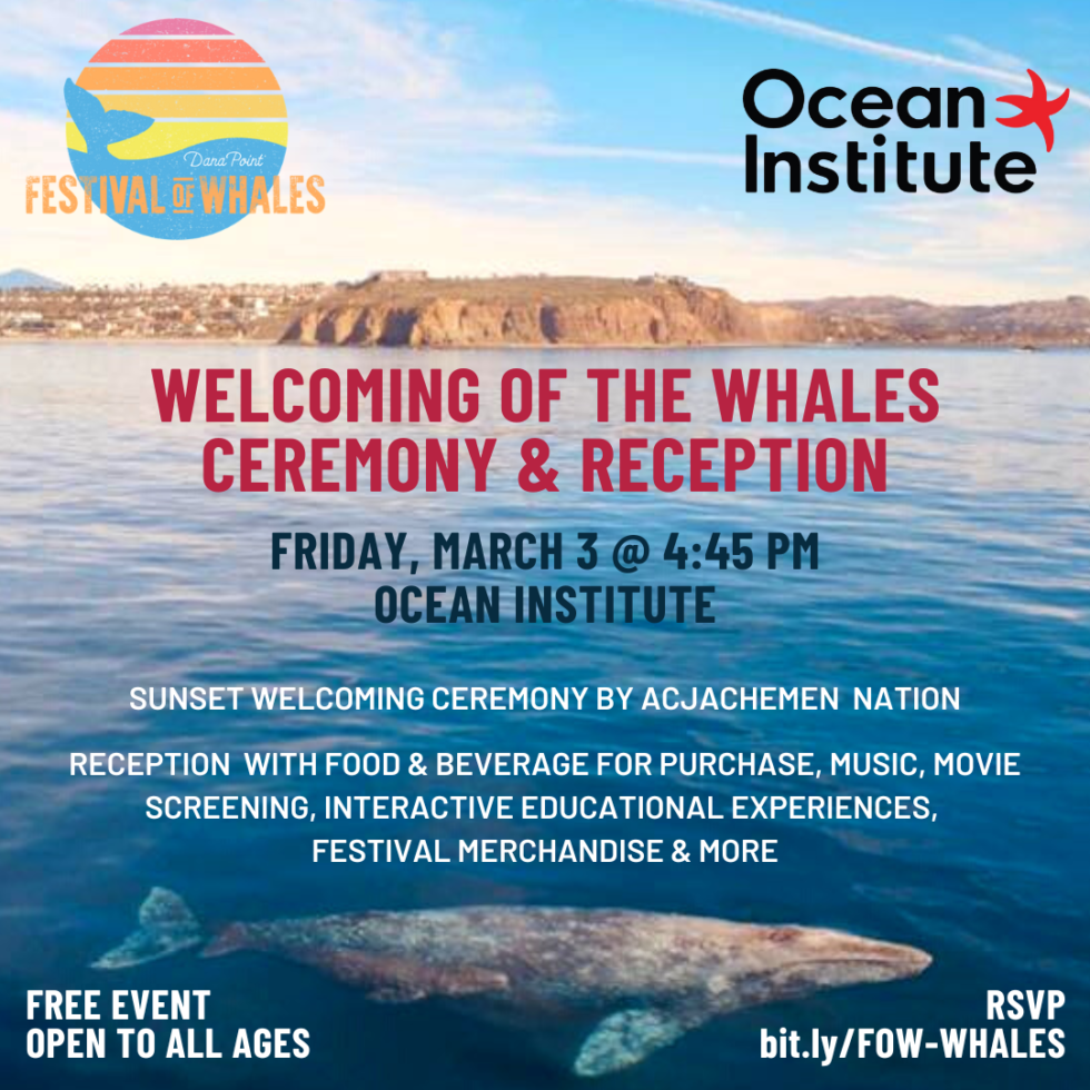 of the Whales DP Festival of Whales Event Ocean Institute