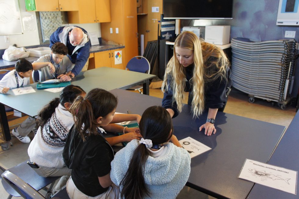 Summer Internships Ocean Institute