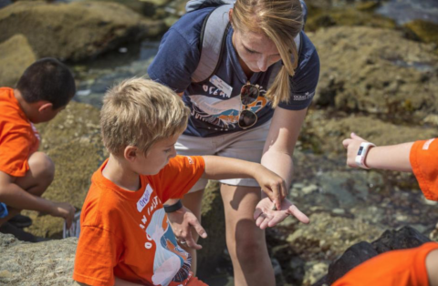 Summer Internships Ocean Institute