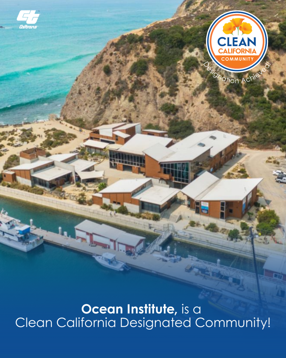 Clean Community - Ocean Institute